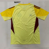 2026/27 Colombia Yellow Goalkeeper Fans Soccer Jersey
