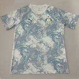 2026/27 Palmeiras Fans Soccer Jersey