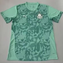 2026/27 Palmeiras Fans Soccer Jersey