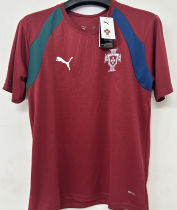 2026/27 Portugal Training Fans Soccer Jersey