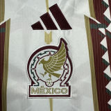 2026/27 Mexico Special Edition Fans Soccer Jersey