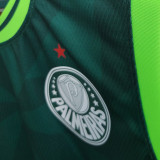 2023/24 Palmeiras Home Green Vest Jersey