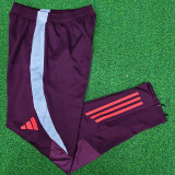 2024/25 BFC Sports Trousers 拜仁