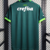 2023/24 Palmeiras 1:1 Quality Home Green Fans Soccer Jersey