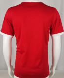 1972/73 Ben-fica Home Red Retro Soccer Jersey