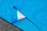 2024/25 Grêmio Blue Vest Training Jersey(A Set)