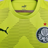 2022/23 Palmeiras Green GK Soccer Jersey