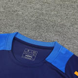2025 JUV Sapphire Blue Training Jersey(A Set)