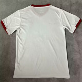 2024/25 Palestina White Fans Soccer Jersey