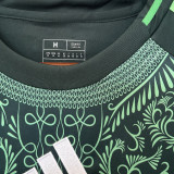 2025 Algeria Third Green Fans Soccer Jersey