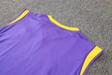 2024/25 RM Purple Vest Training Jersey(A Set)