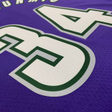 The Bucks ANTETOKOUNMPO #34 purple Retro NBA Jerseys