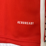 2024/25 Internacional Home Red Fans Soccer Jersey
