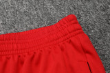 2025 Fluminense Red Sweater Tracksuit