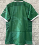 2022/23 Wales Green Rugby Shirt 威尔士
