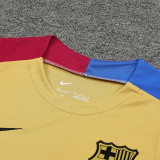 2024/25 BA Khaki Vest Training Jersey(A Set)
