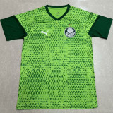 2024/25 Palmeiras Green Training Jersey
