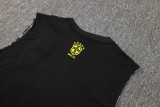 2025 Brazil Vest Training Jersey(A Set)
