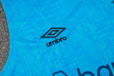 2024/25 Grêmio Blue Vest Training Jersey(A Set)