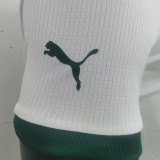 2023/24 Palmeiras Away White Player Version Jersey (All Sponsor 球员版全广告)