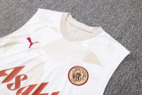 2024/25 Man City Beige Inkjet Vest Training Jersey(A Set)
