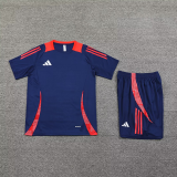 2025 AD~ Sapphire Blue Training Jersey(A Set)