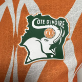 2023/24 Ivory Coast Orange Player Version Jersey