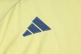 2025 AA Yellow Vest Training Jersey(A Set)