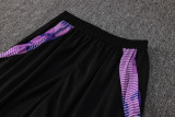 2024/25 Germany White Vest Training Jersey(A Set)