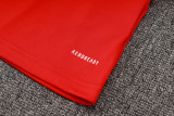 2024/25 Internacional Red Vest Training Jersey(A Set)