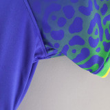 2022/23 Brazil Away Blue Women Soccer Jersey