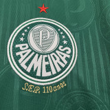 2024/25 Palmeiras 1:1 Quality Home Fans Jersey (All Sponsor 全广告)
