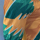 2024 Ivory Coast Special Edition Orange Player Version Jersey