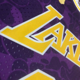 1993 Lakers BAPE×M&N #93 Purple NBA Jerseys