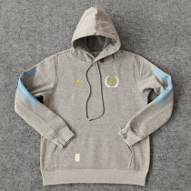 2024/25 Argentina Grey Hoody
