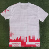 2023/24 Union Berlin Special Edition Fans Soccer Jersey