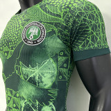 2022/23 Nigeria Home Green Player Version Jersey