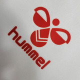 2023/24 Denmark Away White Fans Soccer Jersey