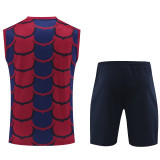2024/25 BA Vest Training Jersey(A Set)