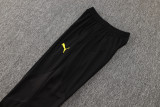 2024/25 BVB Yellow Jacket Tracksuit