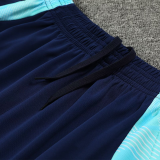 2025 ARS Green Training Jersey(A Set)