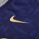 2025 BA Sapphire Blue Vest Training Jersey(A Set)