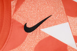 2025 In Milan Vest Training Jersey(A Set)