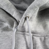 2023/24 Flamengo Grey Hoody