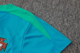 2024/25 Portugal Light Green Training Jersey(A Set)