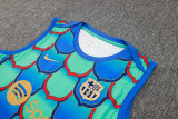 2024/25 BA Green Vest Training Jersey(A Set)