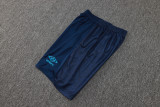 2024/25 Grêmio Blue Vest Training Jersey(A Set)