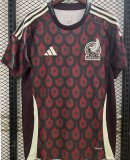CHICHARITO #14 Mexico 1:1 Quality Fans Soccer Jersey 2024/25