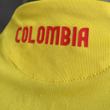 2024/25 Colombia Home Yellow Player Version Soccer Jersey