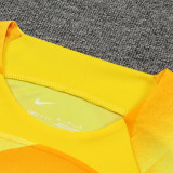 2023/24 BA Yellow Goalkeeper Fans Jersey (A Set, Pants Have Number) 裤有号码